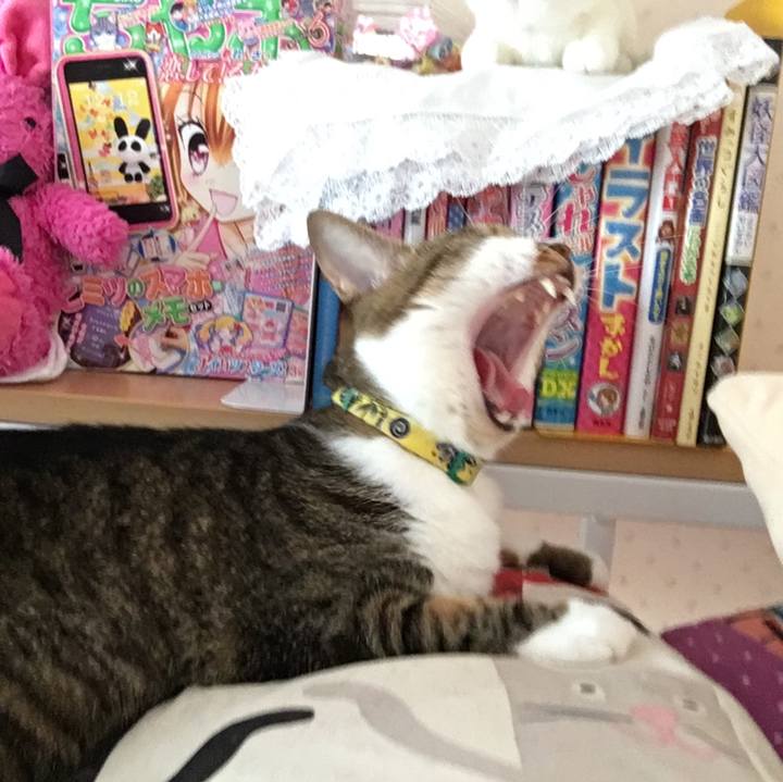 94f588b1 78d9 49b0 baa1 168626e4c1b3