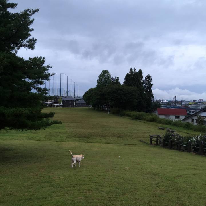 94f59fd7 2a5f 46e7 b73a a9fac01a1253