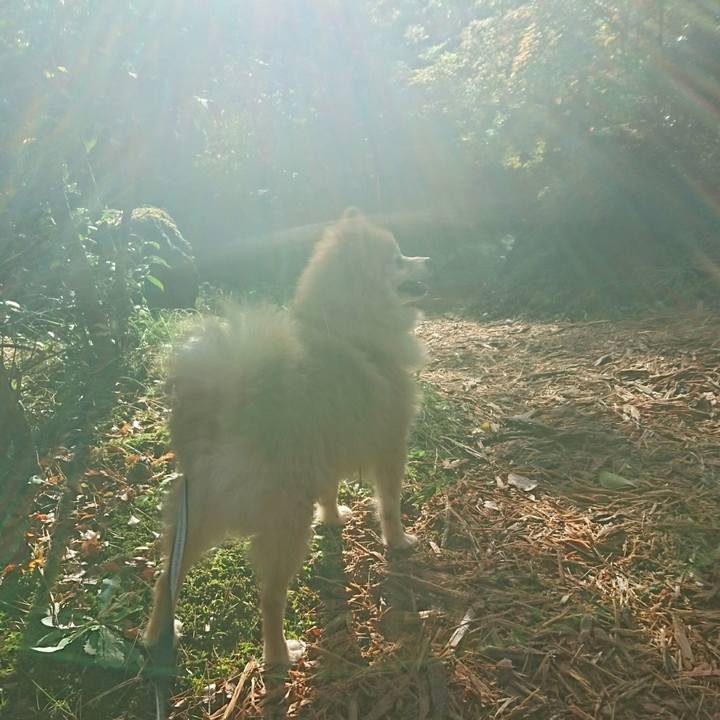 94f60e7c db3b 4845 a0f8 3f1067961314