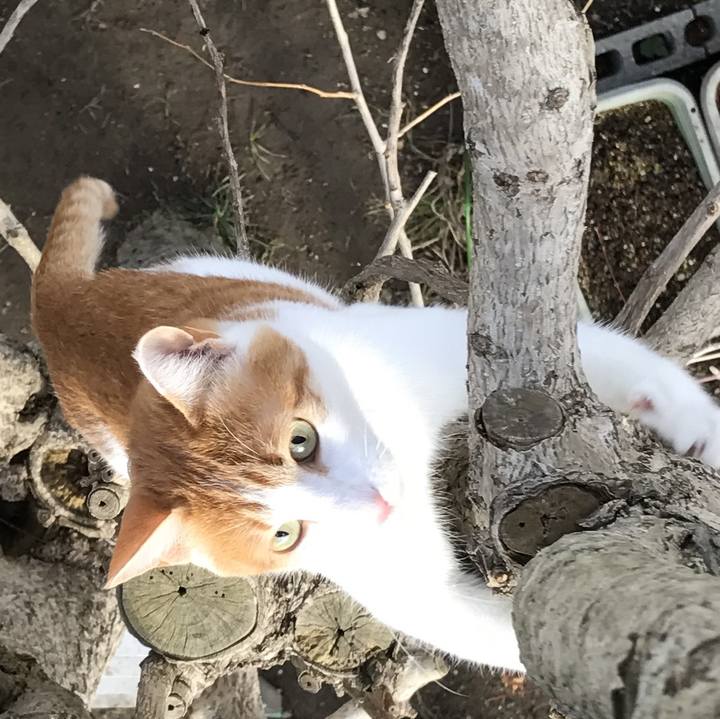 94f664e5 7750 44fc 971d 9e1d453d5465