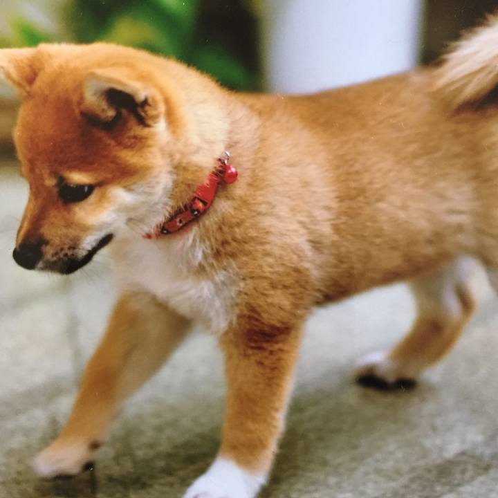 94f69c5a 6c7e 40dc 93d0 ada351e2d036