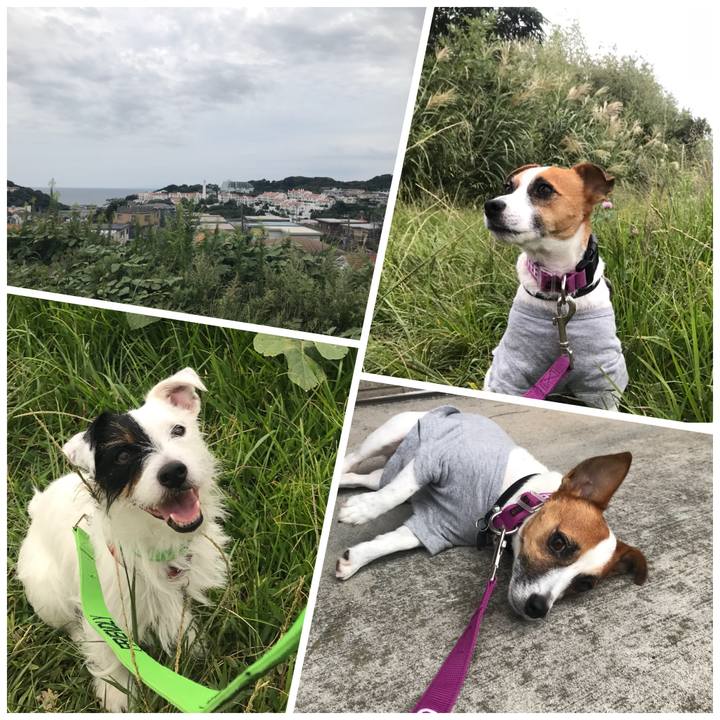 94f6f080 c07f 4dc2 865a 733a372568a5