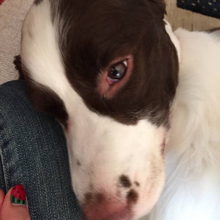 94f72577 a74d 414c a655 9169ccee2a22