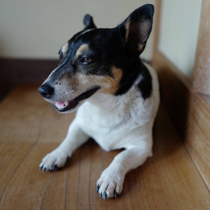 94f7caa3 dbbd 4f4a a168 0a8cb69e3ddb