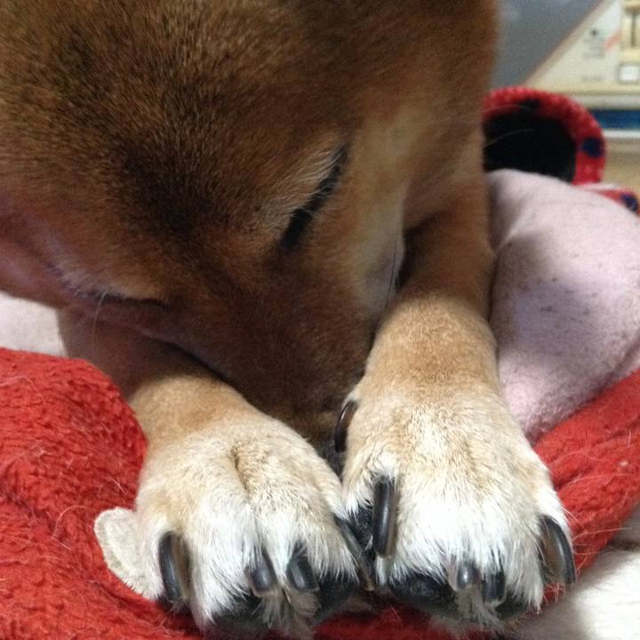 94f7f029 ae65 4362 8d8c 326dada8c56c