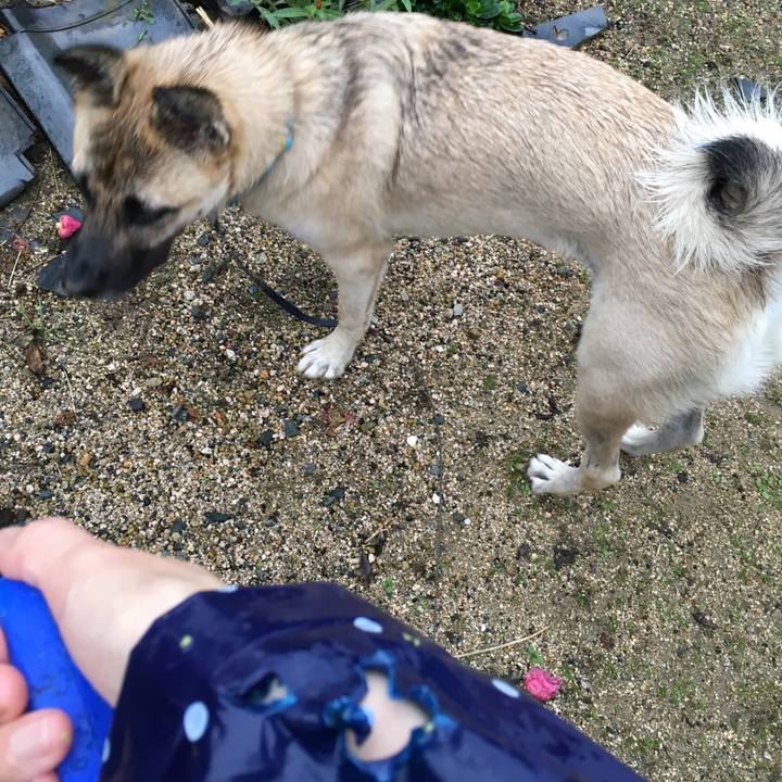 94f8593a 11ea 41ca a75a 08cb32e6e3e8