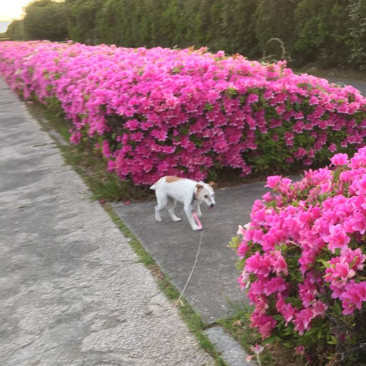 94f93218 0daf 4826 b7ae 5bbc075ed259