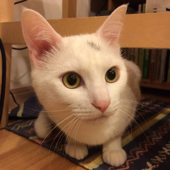 94f94805 b000 43a3 8a7e 3018a18c9633