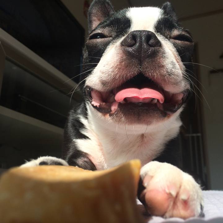 94fa7eea af3f 448e 90be 1c463916b0a4