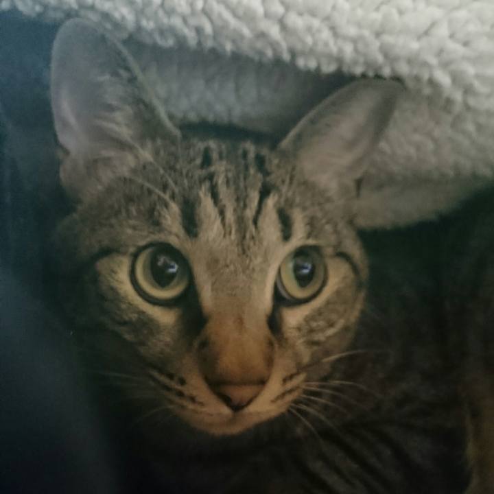 94fab411 9fe3 4a34 8957 934002597e87