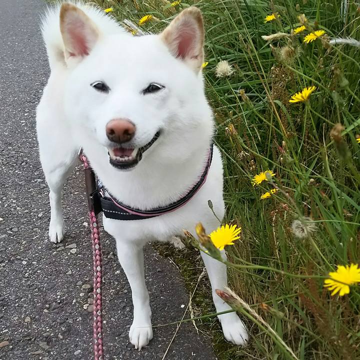 94fabdb8 2308 4b9a 84d4 378b26f4b732