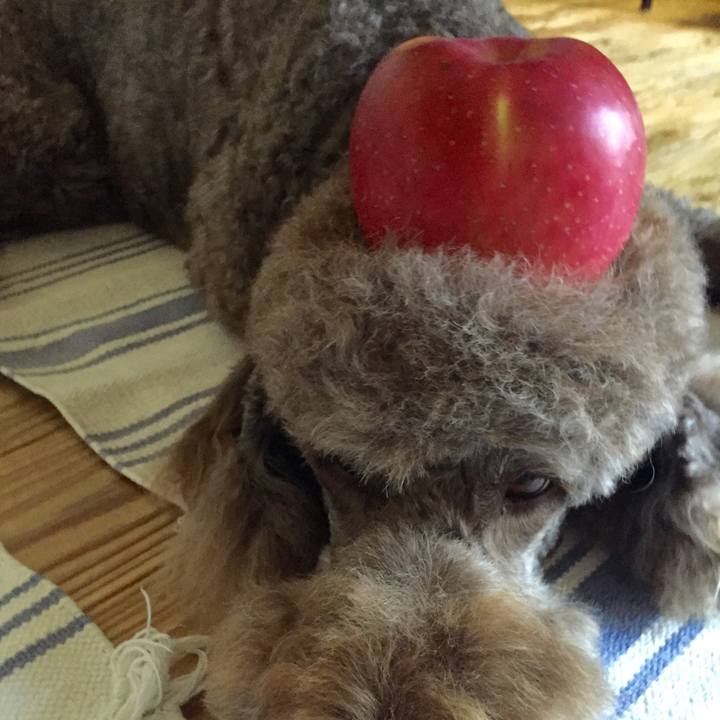 94fac647 7343 4761 bf65 cfc0e80caa0c