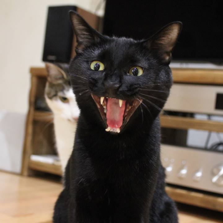 94fb43ef 97bf 45d1 b531 9c5f83f5eaaf