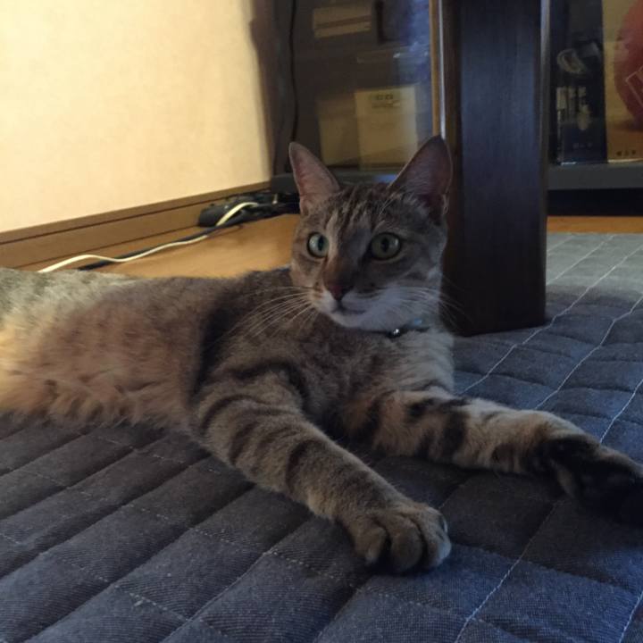 94fb4954 67f0 4b89 b145 fe3f32fbe747