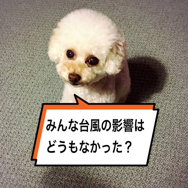 94fb8d33 5aa0 463b b60b 226e5f03562f