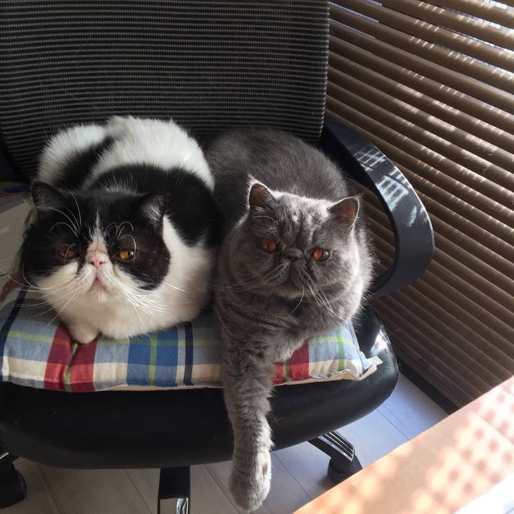 94fba35a 28b4 4561 8e78 a0872b74cb14