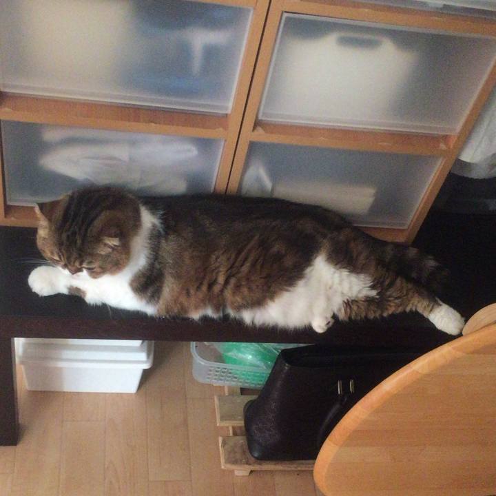 94fc1d0c 036f 423a ac42 b8a1f9251373