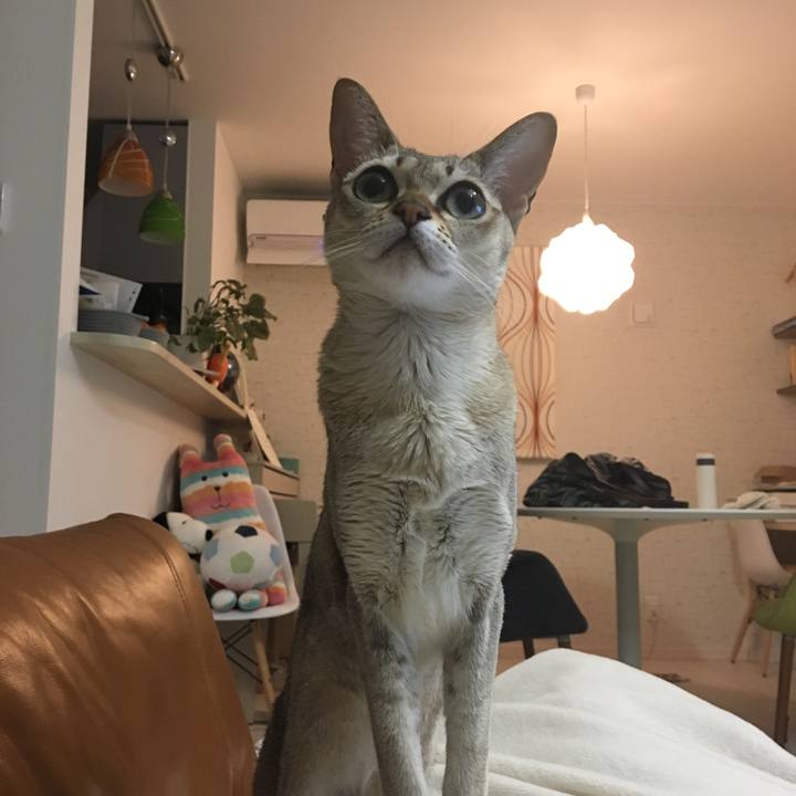 94fc2dd2 201f 4e4e 9d98 5ddc214c6057