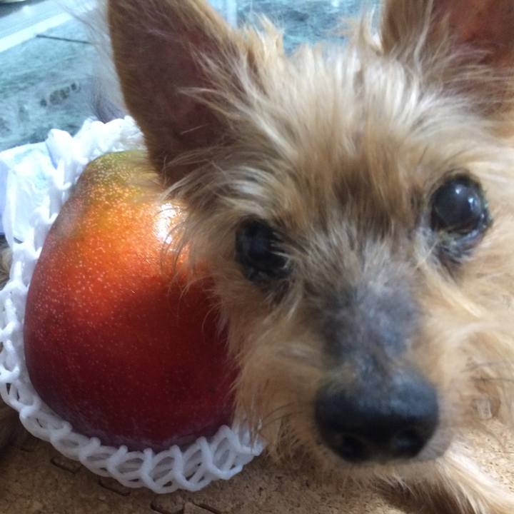 94fc4988 7f45 4875 8382 47fb8cef6aa0