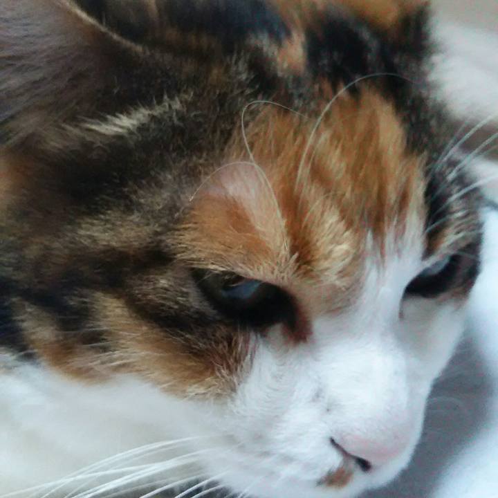 94fcbcb3 9bee 4b88 87c1 d169acdc97bb