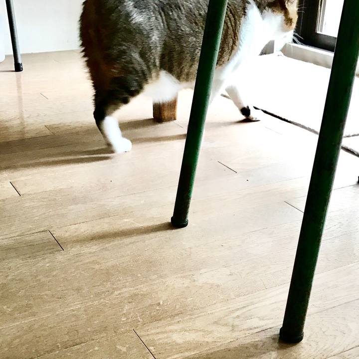 94fcc684 61f7 4dc5 a51c 9183508b1f78