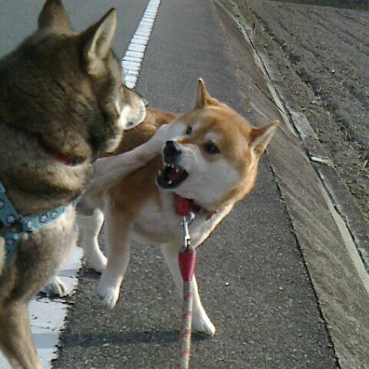 94fd1560 d703 49b6 b34b 95a900584681