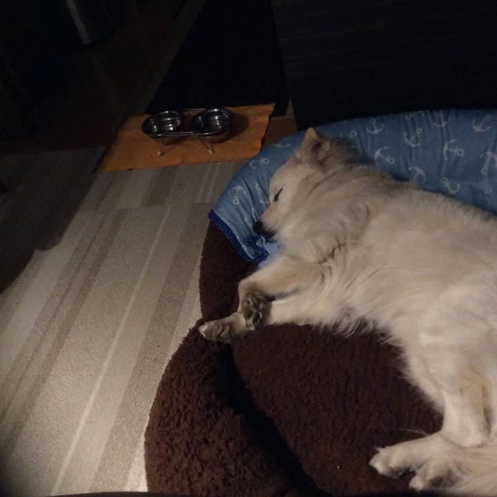 94fd46f7 fed4 4303 a1bf 9058baa72110