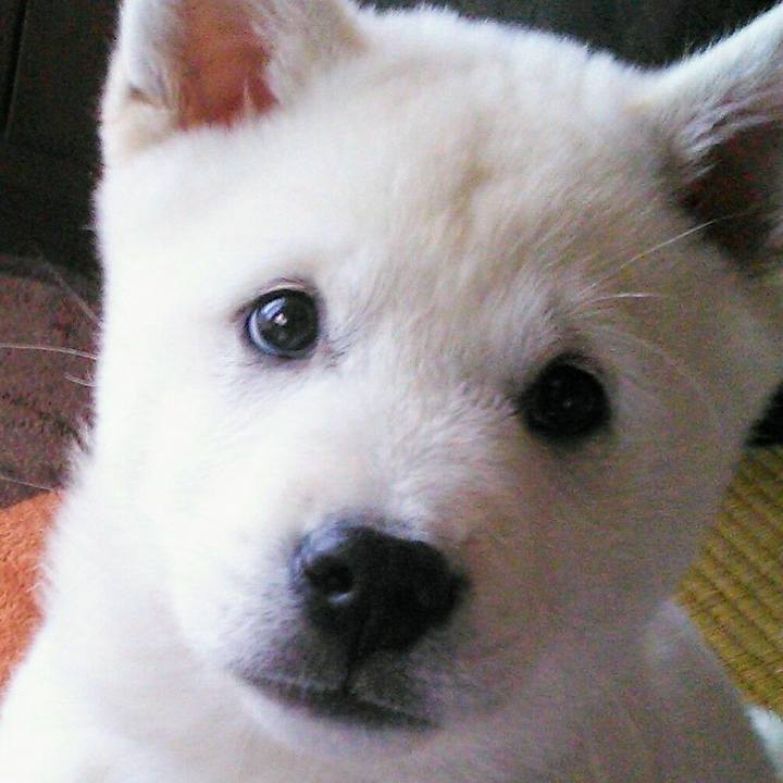 94fd5216 9611 41b8 9f5b 1a6730b3967c