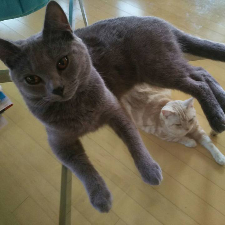 94fd961c 51cc 4f42 815e 49e1f98330d4