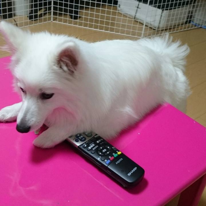 94fe48f2 959a 42d2 8c55 f9ecf0e17408