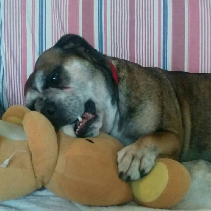 94fe9051 0f76 4236 b89e 0c5e0a1f0d55