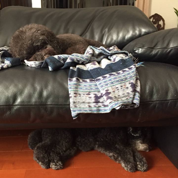 9500e892 1abe 4817 9273 22d487cb628a