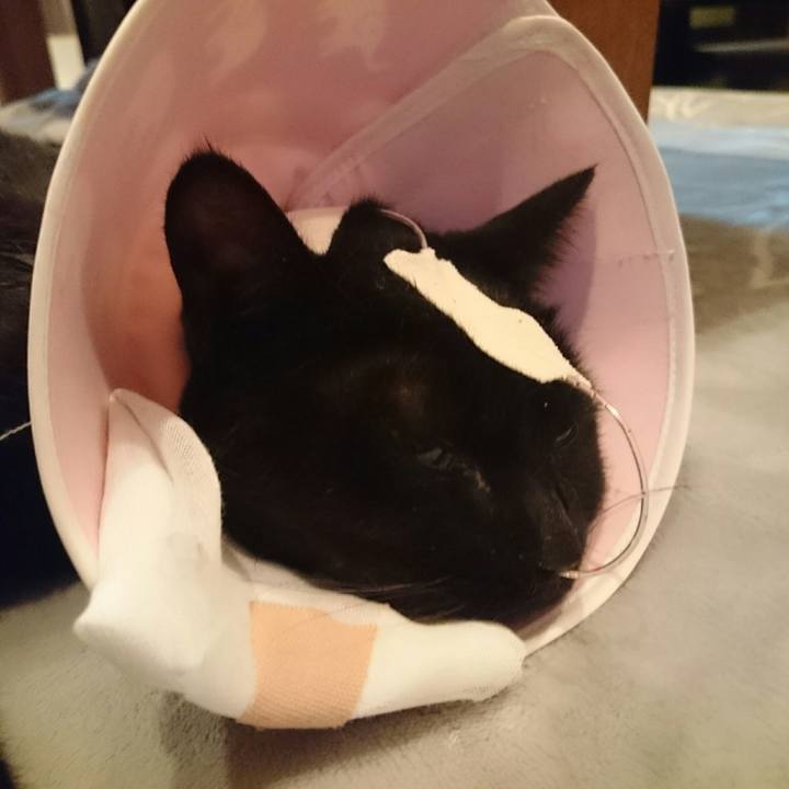 95018d6c de63 49aa 9837 d2b3386204b6