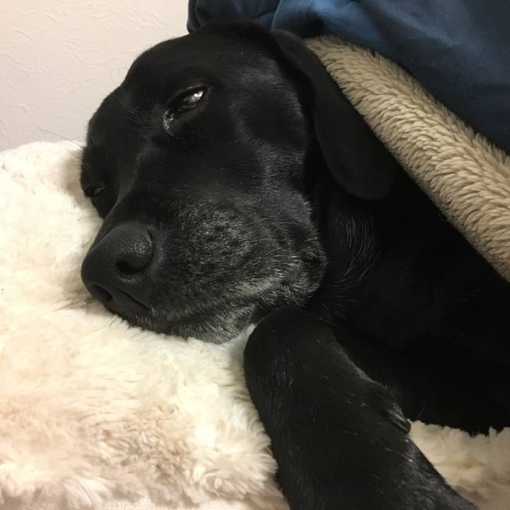 9501edcc 1581 4643 bc4b 0c1061fbb3b5