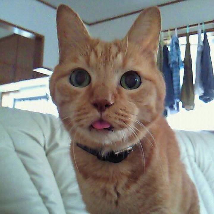 9501fb75 512f 4ea3 ade3 0d4883c55c7c