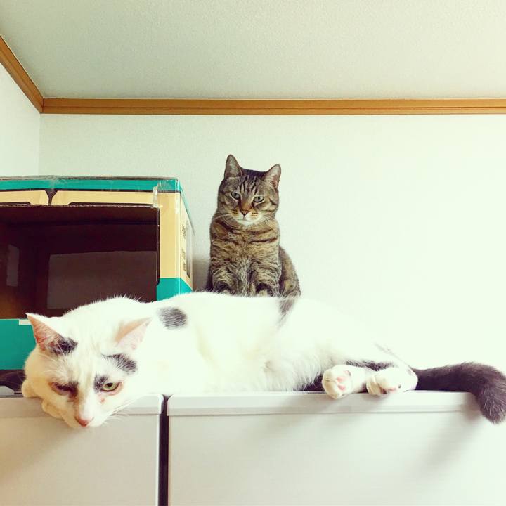 95020d26 29a1 41a5 a7a7 5bc653ec6950