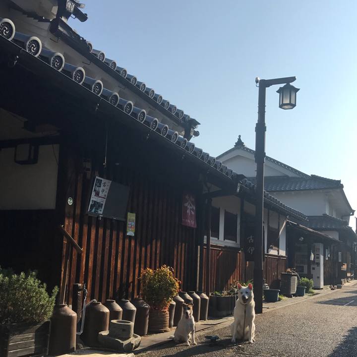 95022cbb 2ea9 4e6a a29e 3efb1bb96a7f