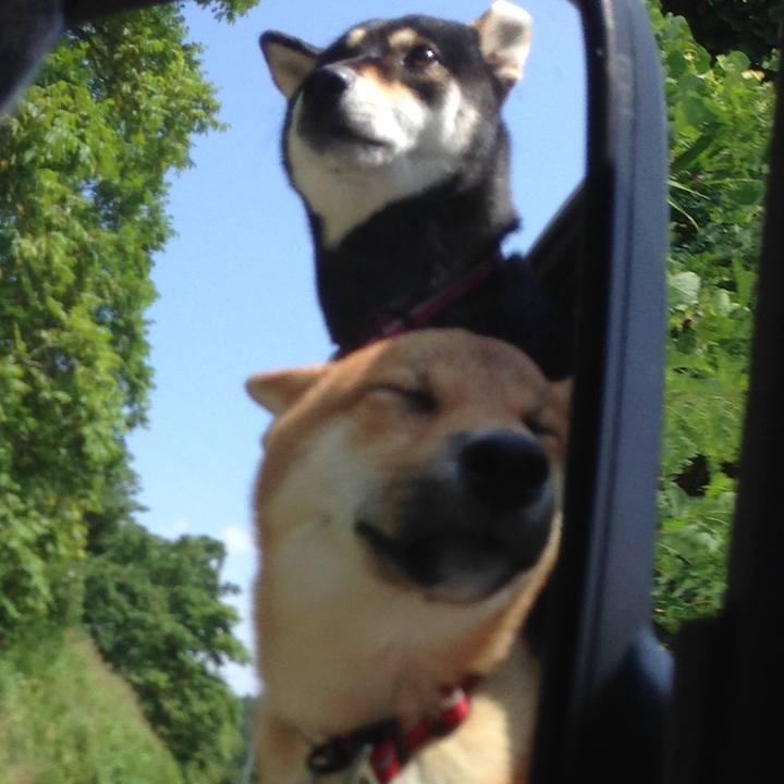 95026b48 dfe8 43d8 948e edcfaa72f78a