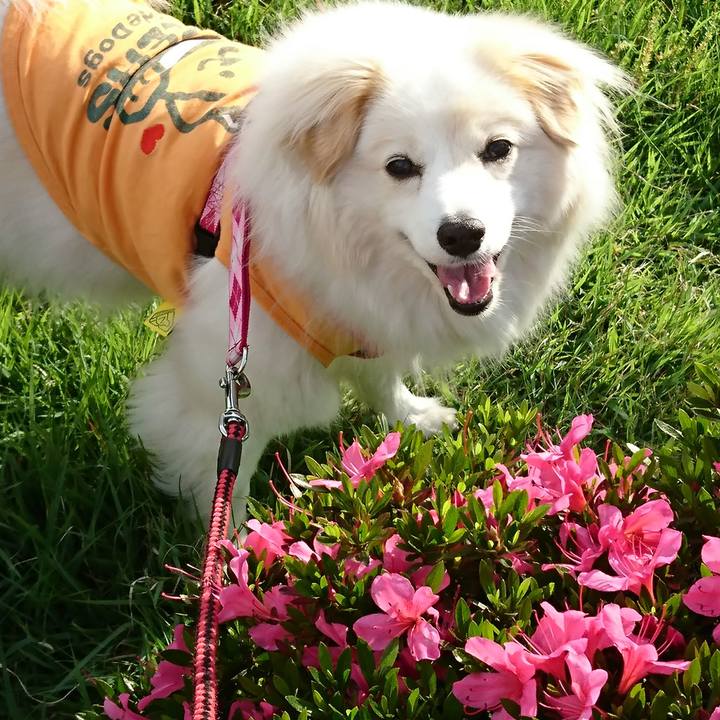 95028b6e 19f2 4f19 90f4 b8996383e705