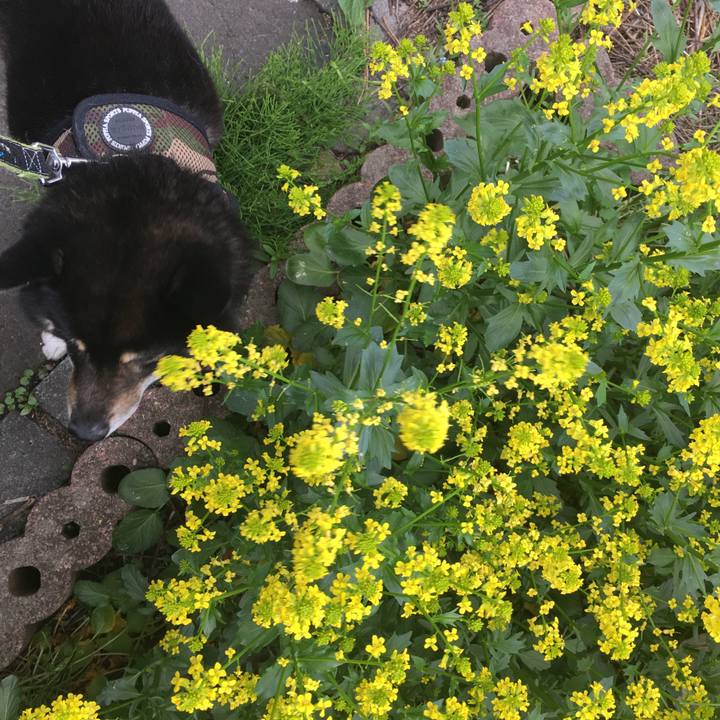 9502c127 fa8a 4506 9f56 b74c99f20cc9