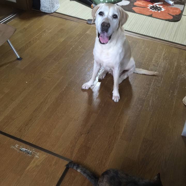 9502fd3e 9a0e 42e7 b584 4ae523515baa