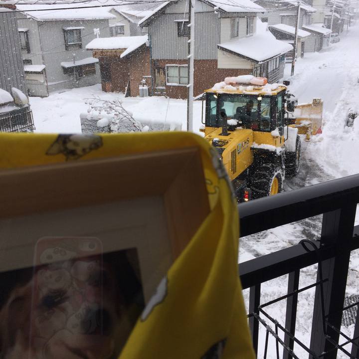 95030fa2 ee01 47ad 9814 ba86f23305a9