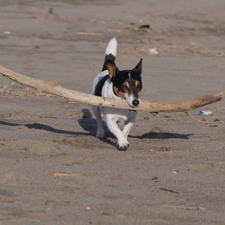 9503aaa7 5631 4185 8d30 2da967079a57