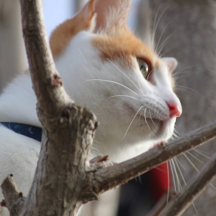 950423c6 7d19 429c 892b a99efbf0bced