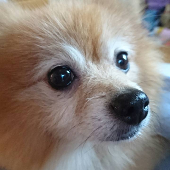 9504ac59 fd55 4a6c bdee 50b09b36fcbb