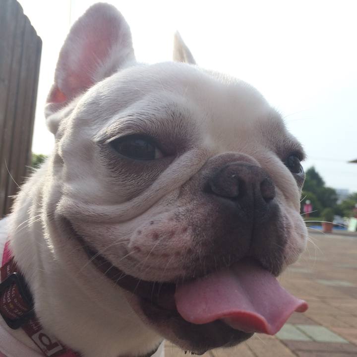 9504bb15 bc3f 4dfa 8e67 0848cc7b46b5