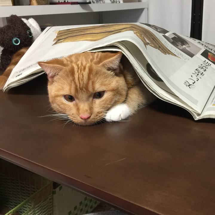 9504c5c5 2239 4ff9 b7f8 195e9816d0db