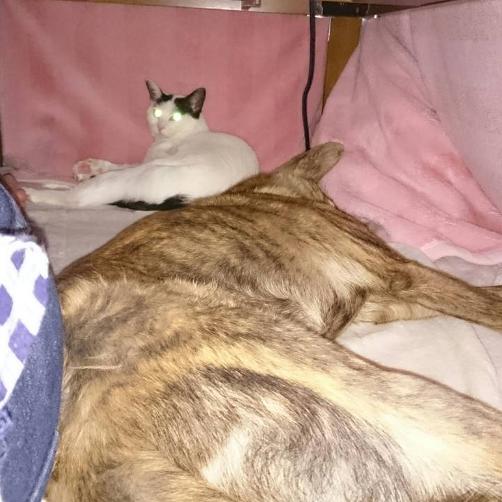 9504ea4b eddf 42af aece 7b5446d25134