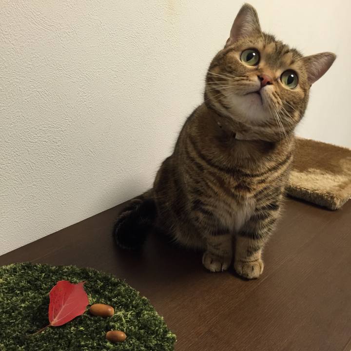 95056f79 5462 4969 8668 bbeb4c0602e9