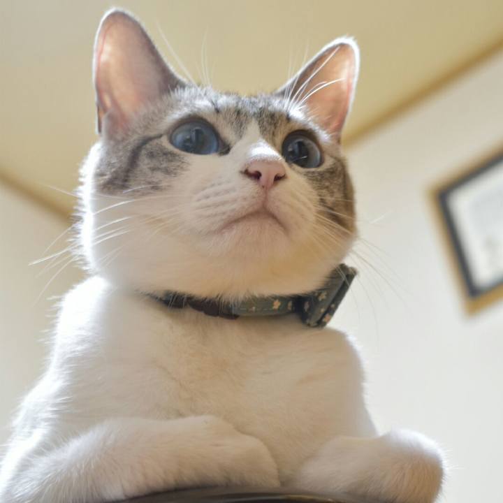 950584d8 1d05 49c4 a1e1 2d58bd2e44b1